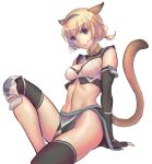  1girl 2023 animal_ears artist_name avatar_(ff11) black_gloves blonde_hair blue_eyes breasts brown_tail cactus41747280 cat_ears cat_girl cat_tail cleavage closed_mouth dated elbow_gloves final_fantasy final_fantasy_xi fingerless_gloves fringe_trim gloves hairband highres loincloth medium_breasts mithra_(ff11) multicolored_hairband navel short_hair short_ponytail simple_background sitting smile solo tail tail_raised white_background 