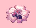  animal_focus artist_name bug everson_woodlouse flower flower_focus heart kiss ladybug no_humans original pink_background pink_flower 