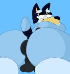  anthro anus balls bandit_heeler big_butt bluey_(series) butt canid canine genitals hi_res looking_at_viewer looking_back male mammal puffy_anus raised_tail simple_background solo solo_focus stankbank tail 