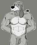  abs anthro balls canid canine canis casual_nudity copper_(fath) disney domestic_dog flaccid foreskin fox_and_the_hound fur genitals hi_res humanoid_genitalia humanoid_hands humanoid_penis hunter-husky hunting_dog male mammal manly muscular muscular_anthro muscular_male navel nipples nude pecs penis scent_hound simple_background solo 