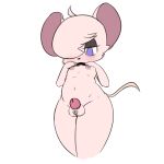 2021 anthro balls bent_arm blue_eyes chastity_cage chastity_cage_only chastity_device fur genitals girly hair half-closed_eyes looking_at_self male mammal mouse murid murine narrowed_eyes navel nipples pink_body pink_fur rodent simple_background solo tail vono white_background 