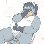  2023 anthro balls belly big_belly blush bodily_fluids clothing cum ejaculation erection eyes_closed genital_fluids genitals grey_body hi_res kemono male mammal masturbation moobs nipples penis procyonid raccoon redpansama sitting sniffing solo toilet underwear underwear_sniffing white_body 