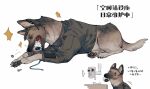  canid canine canis chinese_text claws clothed clothed_feral clothing domestic_dog ellipsis eyebrows fangs feral hi_res juanmao1997 male mammal pawpads paws quadruped solo tail teeth text translation_request 