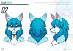  2023 absurd_res anthro beauty_mark biped blue_body blue_fur blue_hair canid canine canis choker collar countershading devilscry digital_media_(artwork) eliam_(devilscry) english_text fawkes_art female fox front_view fur hair heterochromia hi_res jewelry looking_at_viewer looking_back mammal markings medallion model_sheet mole_(marking) mole_on_breast multicolored_body multicolored_fur necklace nude rear_view side_view simple_background smile solo standing text two_tone_body two_tone_fur white_body white_fur widescreen 