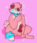  anthro aroused bandanna blue_paws blush blush_lines bodily_fluids canid canine canis domestic_dog dripping erection feet foot_fetish fur genital_fluids genitals gootraxian kaiju_paradise kerchief kewlbab knot leaking leaking_precum male mammal mixed_breed pawpads paws penis pink_body pink_fur precum precum_drip roblox saturn_(kaiju_paradise) shiba_inu sitting solo spitz spots spotted_body spotted_fur spread_toes toes tongue tongue_out young 
