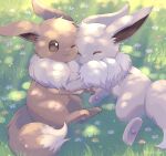 ;3 alternate_color brown_eyes closed_eyes closed_mouth commentary_request day eevee flower from_above grass highres ibusaki_(ivu) lying no_humans on_side one_eye_closed outdoors pokemon pokemon_(creature) shadow shiny_pokemon smile 
