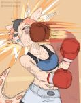  animal_humanoid anthro blood bodily_fluids boxing boxing_attire boxing_gloves breasts chamma_retsuden clothing duo female fighting_ring handwear hi_res humanoid macropod macropod_humanoid mammal mammal_humanoid marsupial marsupial_humanoid masteroflasagna nosebleed olletta punching_face sport sweat sweaty_breasts wallaby 