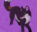  2013 aliasing ambiguous_gender black_body black_fur bluekyokitty brown_body brown_fur canid canine cel_shading digital_drawing_(artwork) digital_media_(artwork) digitigrade feral fox fur grass green_eyes low_res mammal paws pink_inner_ear pink_nose plant purple_background purple_grass raised_tail sebdoggo shaded simple_background solo tail walking white_body white_fur 