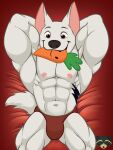  abs absurd_res anthro anthrofied biceps bolt_(bolt) bolt_(film) brown_eyes bulge canid canine canis carrot carrot_in_mouth chew_toy clothed clothing disney dog_toy domestic_dog food fur genitals hands_behind_head hi_res holding_object kazusealcoon looking_at_viewer lying male mammal muscular muscular_anthro muscular_male nipples on_back penis plant skimpy smile solo tail tattoo topless topless_male underwear vegetable white_body white_fur white_tail 