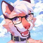  1:1 anthro blue_eyes bust_portrait canid cheek_tuft cloud collar corzh77 eyewear facial_tuft front_view fur glasses glistening glistening_eyes grey_collar hair hi_res inner_ear_fluff looking_at_viewer male mammal open_mouth open_smile orange_body orange_fur orange_inner_ear_fluff portrait rectangular_glasses red_nose red_tongue short_hair sky smile solo tongue tuft wearing_glasses white_body white_fur white_hair 