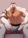  2023 abs absurd_res anthro areola barazoku biceps brown_body brown_fur brown_hair bulge canid canine canis clothed clothing digital_media_(artwork) eyebrows fur hair hi_res jockstrap jockstrap_only male mammal muscular muscular_anthro muscular_male navel nipples orange_body orange_fur pecs pubes sitting solo tattoo topless underwear underwear_only white_body white_fur wolf zfou 