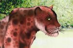  beast_(disambiguation) felid feline feral fur invalid_tag jaguar leopard male male/male mammal nondu nondu_the_panther pantherine solo spots 