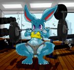  abs anthro bodily_fluids camel_toe cottontail exercise female gym hi_res kurasuto_(cottontail) lagomorph leporid mammal muscular muscular_female nipple_outline rabbit solo sweat thick_thighs weightlifting weights workout 