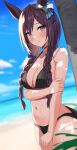  1girl alternate_costume alternate_hairstyle animal_ears asato_(fadeless) beach black_hair blurry blurry_background blurry_foreground blush braid breasts cleavage closed_mouth cloud collarbone commentary_request cowboy_shot hair_ornament hairclip highres horse_ears horse_girl horse_tail long_hair looking_at_viewer medium_breasts mejiro_dober_(umamusume) ocean purple_eyes sky solo tail twin_braids umamusume 