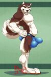  2020 anthro artist_name baekohn_maplecreme balls_outline biceps big_bulge brown_body brown_fur bulge canid canine canis claws clothed clothing dated deltoids detailed_bulge digital_drawing_(artwork) digital_media_(artwork) domestic_dog fingers fluffy fluffy_tail fur genital_outline hands_on_hips hands_on_own_hips heterochromia hi_res huge_bulge hungothenomster husky long_tail looking_at_viewer male mammal multicolored_body multicolored_fur musclegut muscular_thighs nordic_sled_dog pawpads pecs penis_outline simple_background smile solo spitz tail underwear underwear_only watermark white_body white_fur 