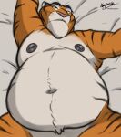  anthro belly black_nipples disney featureless_crotch felid fur hi_res husky2paws lying male mammal navel nipples on_back orange_body orange_fur overweight overweight_anthro overweight_male pantherine pink_nose solo stripes tiger tiger_dancer_(zootopia) whiskers zootopia 