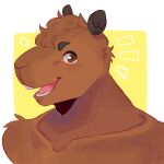  anthro bare_chest bare_shoulders brown_body brown_fur brown_hair capybara caviid collarbone ears_up eyebrows fur green_eyes hair hanaarts headshot_portrait male mammal milo_(dandyman) portrait rodent short_hair simple_background smile solo teeth yellow_background 