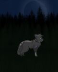  2010 ambiguous_gender bluekyokitty canid canine canis detailed_background digital_drawing_(artwork) digital_media_(artwork) digitigrade feral fur grass grey_body grey_fur grey_nose head_tuft mammal markings moon night outside plant purple_body purple_fur purple_inner_ear sebdoggo shaded sky solo standing striped_body striped_fur striped_markings striped_tail stripes tail tail_markings tree tuft white_body white_fur wolf 