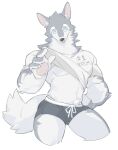  anthro canid canine canis clothed clothing clothing_lift domestic_dog grey_body hi_res male mammal shaded shirt shirt_lift shoko_contane simple_background simple_shading solo topwear underwear 