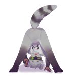  anthro anus butt hi_res lings_star male male/male mammal paws procyonid raccoon solo unknown_artist upside_down 