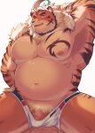  2023 anthro belly blue_eyes blush clothing felid genitals hi_res hombretigre kemono lifewonders male mammal musclegut navel nipples one_eye_closed overweight overweight_male pantherine penis pubes rudolph_trnd sitting solo tiger tokyo_afterschool_summoners underwear 
