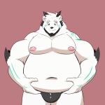  2023 animated anthro bear belly big_belly black_nose bulge clothing dragon humanoid_hands hybrid kemono korouxus male mammal moobs navel nipples overweight overweight_male simple_background solo underwear 