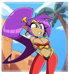  breasts ear_piercing ear_ring female hair human mammal navel nelljoestar piercing purple_hair ring_piercing shantae shantae_(series) solo wayforward 