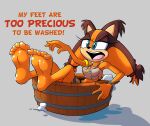  absurd_res anthro badger barefoot feet female foot_focus hi_res humanoid_feet mammal mustelid musteline plantigrade sega soles solo sonic_boom sonic_the_hedgehog_(series) sticks_the_jungle_badger toes wigmania 