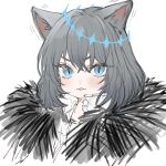  1boy animal_ears blue_eyes cape cat_ears collared_shirt commentary crown diamond_hairband fate/grand_order fate_(series) fur-trimmed_cape fur_trim grey_hair highres male_focus medium_hair no_wings oberon_(fate) oberon_(third_ascension)_(fate) shirt simple_background solo upper_body white_background white_shirt yurumawari 