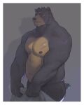  anthro bear black_nose brown_body brown_fur fur grey_body grey_fur male mammal musclegut muscular nipples scar shy stoatallynate yellow_eyes 