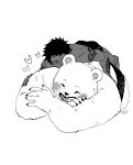  &lt;3 2023 anthro bear bepo_(one_piece) blush clothing duo hi_res human human_on_anthro interspecies lying male mammal minkmen_(one_piece) nekokat42 one_piece overweight polar_bear simple_background tattoo trafalgar_law underwear ursine white_background 