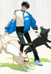  1boy absurdres alternate_costume black_hair black_pants blue_jacket dog full_body fushiguro_megumi green_eyes highres holding holding_leash jacket jujutsu_kaisen leash li_chestnuts long_sleeves looking_at_viewer male_focus pants parted_lips shirt shoes short_hair short_sleeves sneakers spiked_hair sweatdrop torn_clothes torn_pants white_shirt 