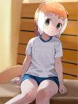  1girl animal_ears blue_shorts extra_ears green_eyes gym_shirt gym_shorts gym_uniform highres ieinu_account japanese_otter_(kemono_friends) kemono_friends light_brown_hair looking_at_viewer otter_ears otter_girl otter_tail shirt short_hair short_sleeves shorts sidelocks sitting solo t-shirt tail white_hair white_shirt 