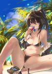  1girl absurdres beach bikini black_bikini black_eyes black_hair black_jacket blue_sky blurry blurry_background collarbone commission crab crotch day eating food haori highres holding holding_food holding_ice_cream holding_ice_cream_cone ice_cream ice_cream_cone jacket japanese_clothes looking_at_viewer navel original outdoors palm_leaf pparus sandals sitting sky smile solo spread_legs swimsuit thighs 