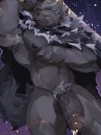  absurd_res anthro armpit_hair balls big_muscles big_pecs big_penis blaidd_(elden_ring) body_hair canid canine canis cloak_only elden_ring eye_scar facial_scar foreskin fromsoftware front_view fur genital_piercing genitals greatsword grey_body grey_fur hi_res humanoid_genitalia humanoid_penis makowolf1 male mammal muscular muscular_anthro night nipples pecs penis penis_piercing piercing prince_albert_piercing pubes scar sky solo standing wolf 