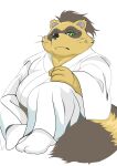  2023 anthro belly big_belly canid canine clothed clothing green_eyes hi_res hysk kemono male mammal overweight overweight_male raccoon_dog sengoku_puzzle simple_background sitting solo tanuki tokugawa_ieyasu white_background 