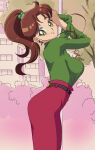  1girl ass bishoujo_senshi_sailor_moon breasts brown_hair earrings green_eyes highres jewelry kino_makoto large_breasts light_smile nanaeljustice parted_bangs ponytail profile tree 