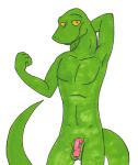  erection green_body green_skin lizard male reptile scalie tabbiewolf yellow_eyes 