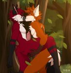  absurd_res animal_genitalia animal_penis anthro canid canine duo forest fox genitals hainequem hi_res kissing male male/male mammal penetration penis plant tree 
