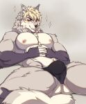  2023 anthro blonde_hair bulge butt canid clothed clothing fur grey_body grey_fur hair hi_res jockstrap jockstrap_only kasusei looking_at_viewer male mammal muscular muscular_anthro muscular_male sei_kasu solo topless underwear underwear_only white_body white_fur 