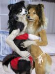  anthro bikini canid canine canis clothed clothing digital_media_(artwork) domestic_dog duo female fur hair indohyus99 looking_at_viewer mammal photo_manipulation photomorph swimwear 