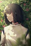  1boy amanoiyo_14 black_hair blue_shirt blunt_bangs blunt_ends blurry closed_mouth detached_sleeves flower grass green_eyes haku_(sen_to_chihiro_no_kamikakushi) highres japanese_clothes long_sleeves looking_to_the_side lying male_focus on_back outdoors pink_flower sen_to_chihiro_no_kamikakushi shirt short_hair solo sunlight vest white_vest 
