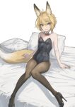 1girl animal_ear_fluff animal_ears bed black_footwear black_leotard blonde_hair bow bowtie breasts brown_eyes brown_pantyhose closed_mouth detached_collar fox_ears fox_girl fox_tail high_heels highres leotard looking_at_viewer nito_(nshtntr) on_bed original pantyhose pillow red_bow red_bowtie short_hair sitting small_breasts solo strapless strapless_leotard tail 