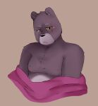  2023 anthro bear black_nose brown_body clothing hi_res male mammal moobs sargento_caricias shirt simple_background slightly_chubby solo topwear undressing unicorn_wars zadscat 