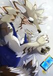  2023 4_fingers anthro brown_body brown_fur canid canine canis cellphone claws clothed clothing eyes_closed fingers fur hi_res jackal lifewonders male mammal phone polaris_quma seth_(tas) sleeping smartphone solo striped_body striped_fur stripes tokyo_afterschool_summoners white_body white_fur 