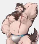  absurd_res another_eidos_of_dragon_vein_r anthro barazoku billford bladetiger bladetiger_art brown_body brown_fur canid canine canis chest_tuft clothing digital_media_(artwork) fur hi_res male mammal muscular_arms navel nipples pecs pink_nipples raised_arm scar smile smirk solo tan_body tan_fur thong tuft underwear wolf yellow_eyes 