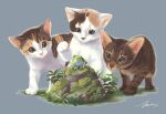  animal_focus brown_cat cat frog grass grey_background leaf no_humans original plant rock signature simple_background spotted_fur striped_fur takigraphic 