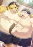  2023 anthro belly big_belly bulge clothing detailed_background duo embrace felid hi_res hitachi_(tamacolle) hug human kemono male male/male mammal moobs nipples official_art overweight overweight_male pantherine tamacolle tiger underwear yukimushi6 