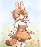  1girl animal_ears blue_sky brown_eyes brown_hair dhole_(kemono_friends) extra_ears flower gloves hat highres kemono_friends kemono_friends_3 leggings looking_at_viewer nature outdoors shirt short_hair skirt sky smile solo tail wolf_ears wolf_girl wolf_tail zzz_ansh 