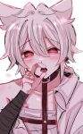  1boy aida_yuuya androgynous animal_ears bandages black_collar blush cat_boy cat_ears collar collared_shirt leash looking_at_viewer male_focus natsumoriii okami_game_(werewolf) open_mouth pink_eyes shirt shirt_partially_removed sketch solo tongue tongue_out white_background white_hair white_shirt 